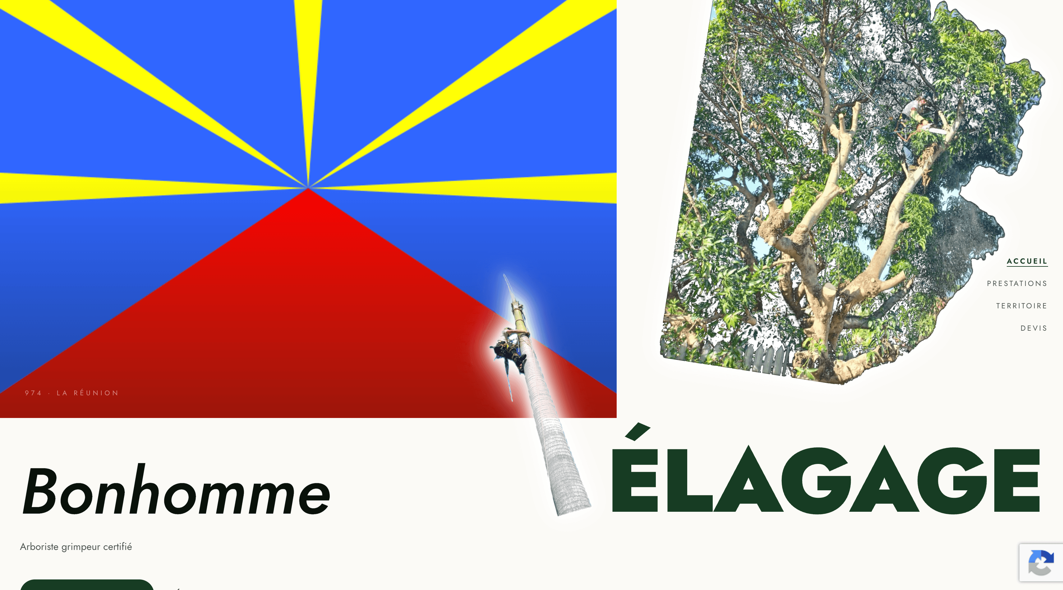 Bonhomme Élagage – Arboriculture professionnelle à La Réunion
