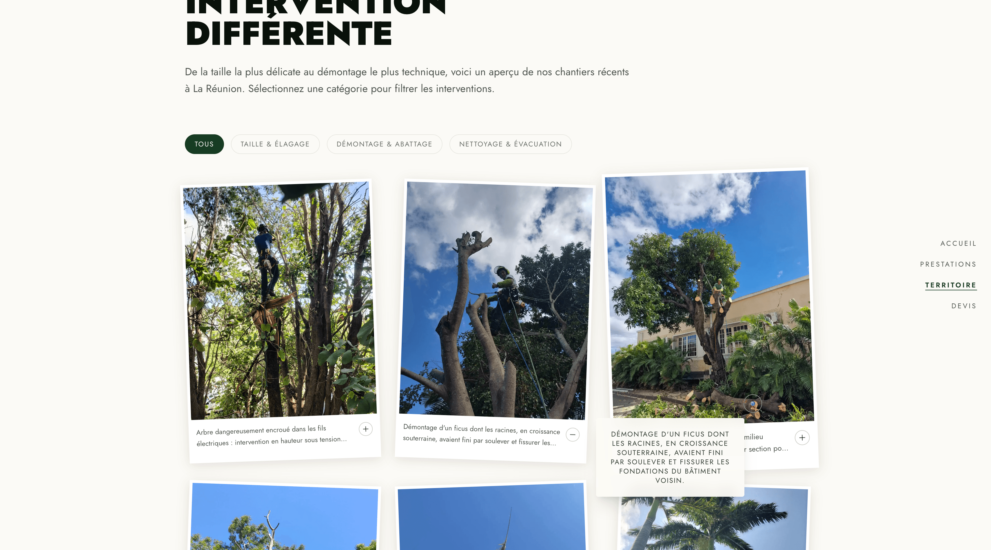 Bonhomme Élagage – Arboriculture professionnelle à La Réunion — screenshot 3